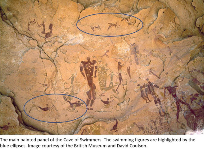 No alt text provided for this image